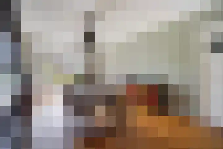 Hoefbladlaan 29 Den Haag thumbnail 17