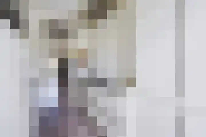 Hoefbladlaan 29 Den Haag thumbnail 23