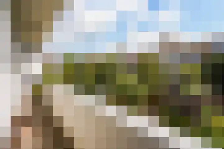 Hoefbladlaan 29 Den Haag thumbnail 27