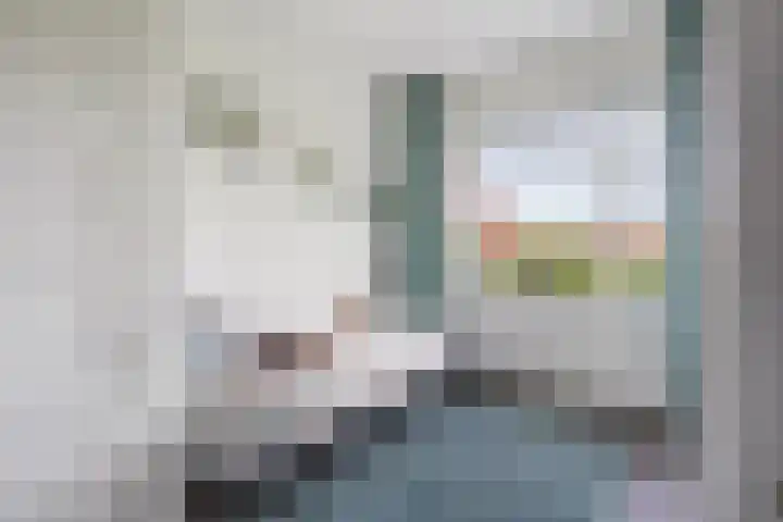 Hoefbladlaan 29 Den Haag thumbnail 32