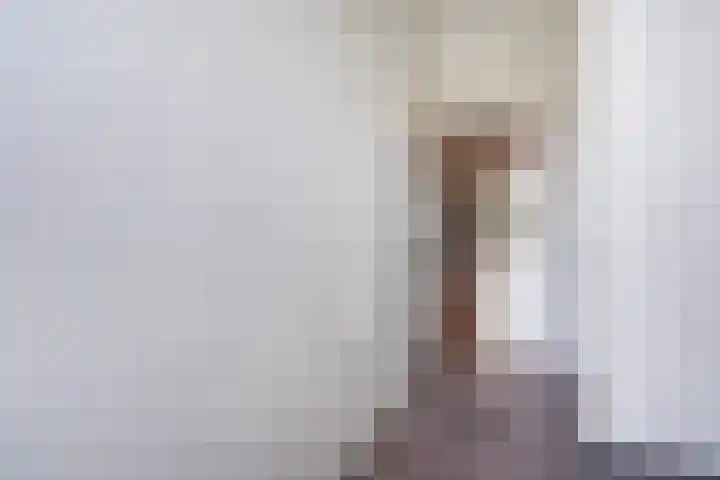 Hoefbladlaan 29 Den Haag thumbnail 36