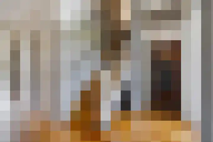 Hoefbladlaan 29 Den Haag thumbnail 38