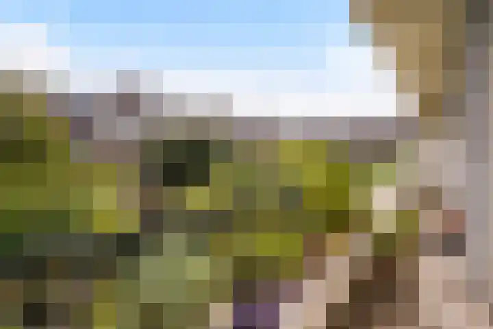 Hoefbladlaan 29 Den Haag thumbnail 4