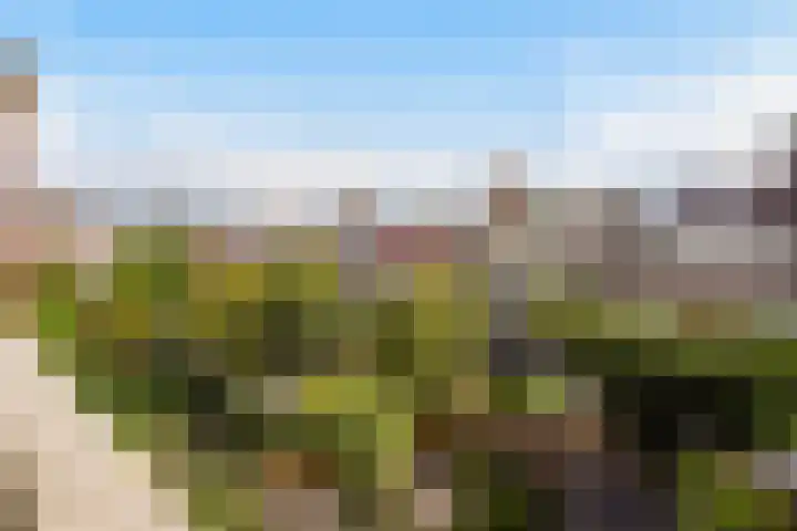 Hoefbladlaan 29 Den Haag thumbnail 44