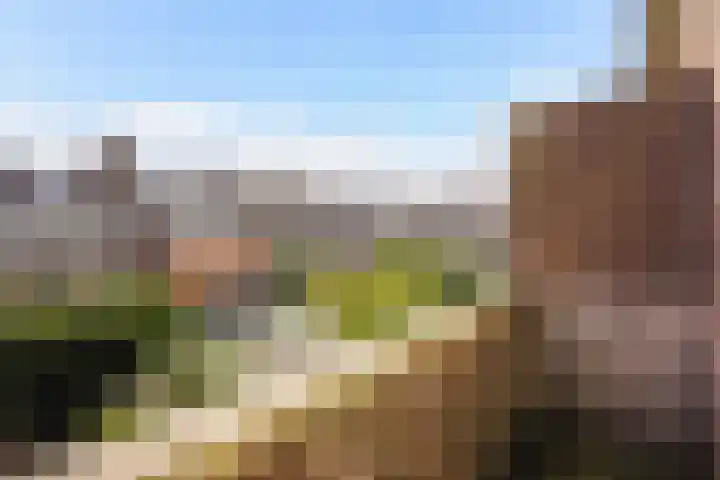 Hoefbladlaan 29 Den Haag thumbnail 45