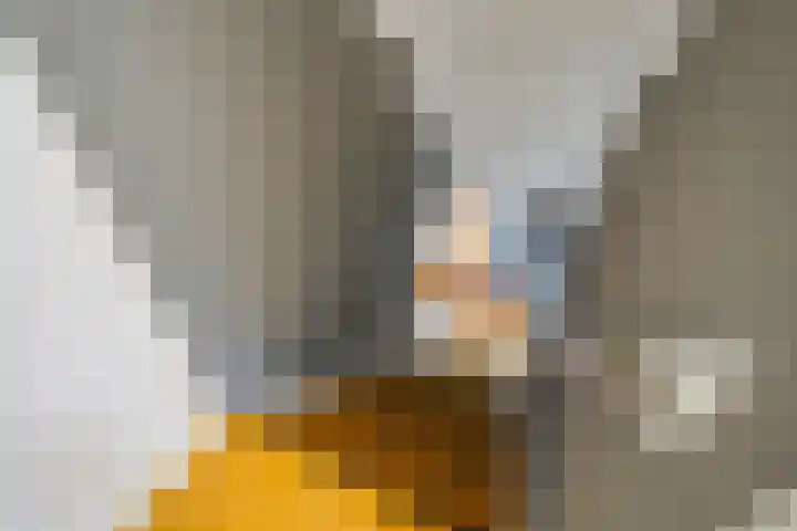 Hoefbladlaan 29 Den Haag thumbnail 46