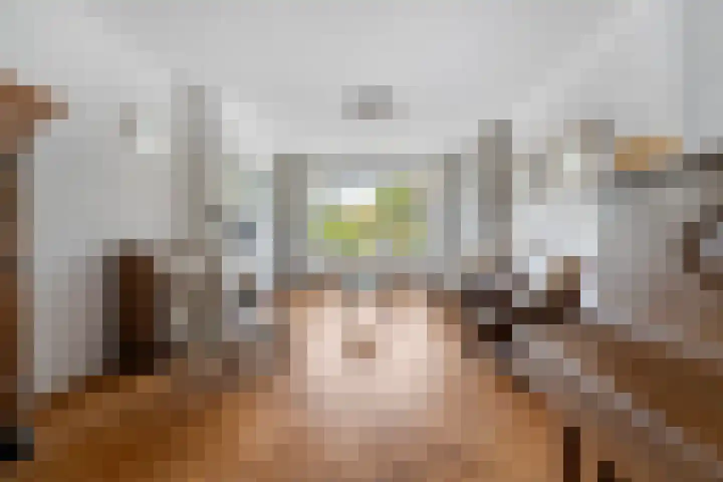 Hoefbladlaan 33 Den Haag thumbnail 10