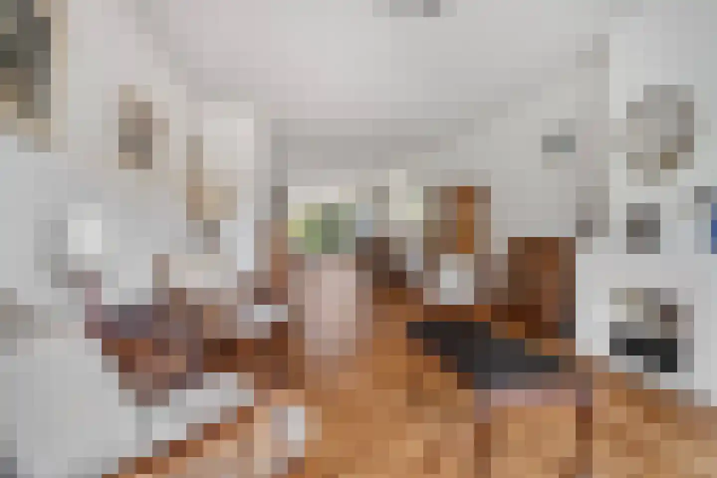 Hoefbladlaan 33 Den Haag thumbnail 13