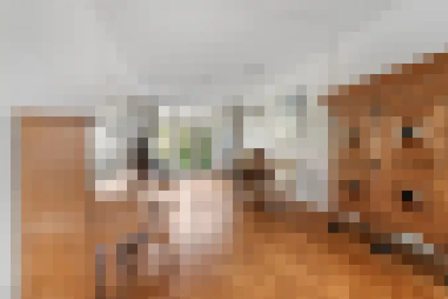 Hoefbladlaan 33 Den Haag thumbnail 15