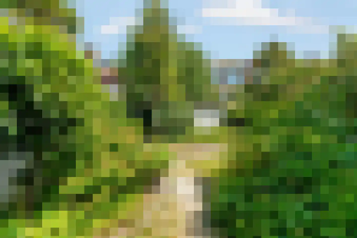 Hoefbladlaan 33 Den Haag thumbnail 29