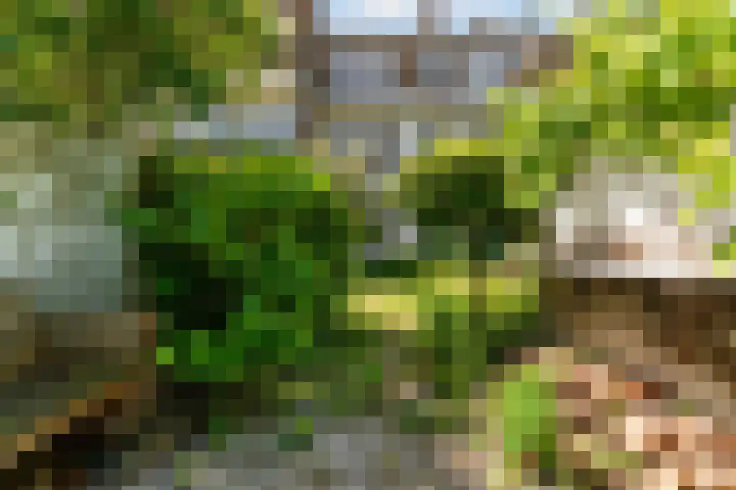 Hoefbladlaan 33 Den Haag thumbnail 34