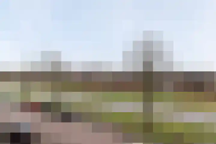 Hoefbladlaan 41 Papendrecht thumbnail 29