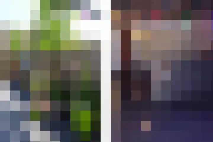 Hoefbladlaan 41 Papendrecht thumbnail 31