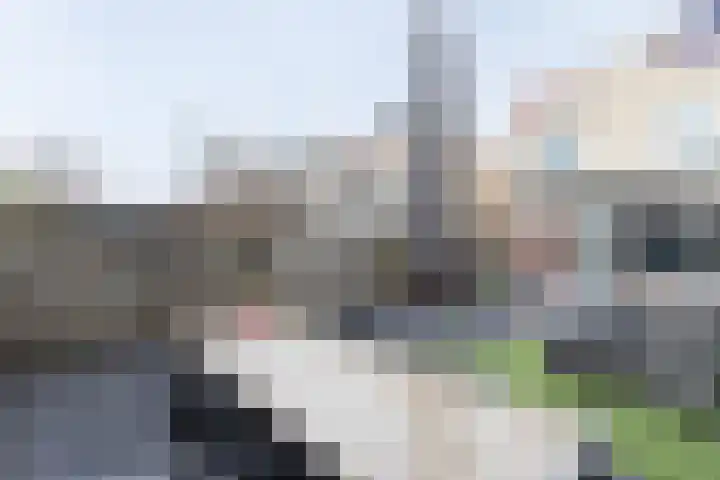 Hoefbladlaan 41 Papendrecht thumbnail 32
