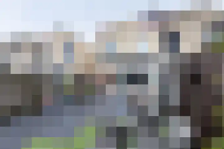 Hoefbladlaan 41 Papendrecht thumbnail 35