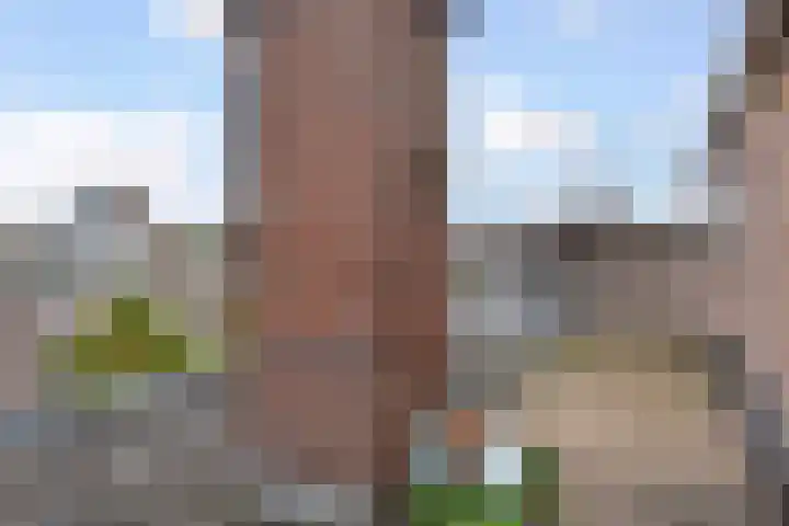 Hoefbladlaan 49 C Den Haag thumbnail 12