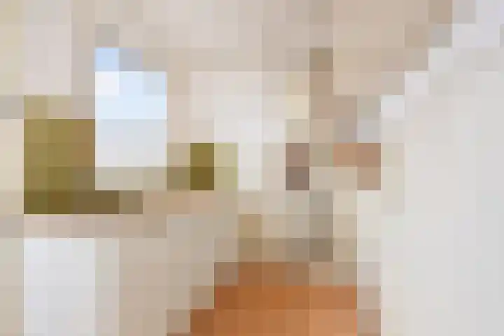 Hoefbladlaan 49 C Den Haag thumbnail 8