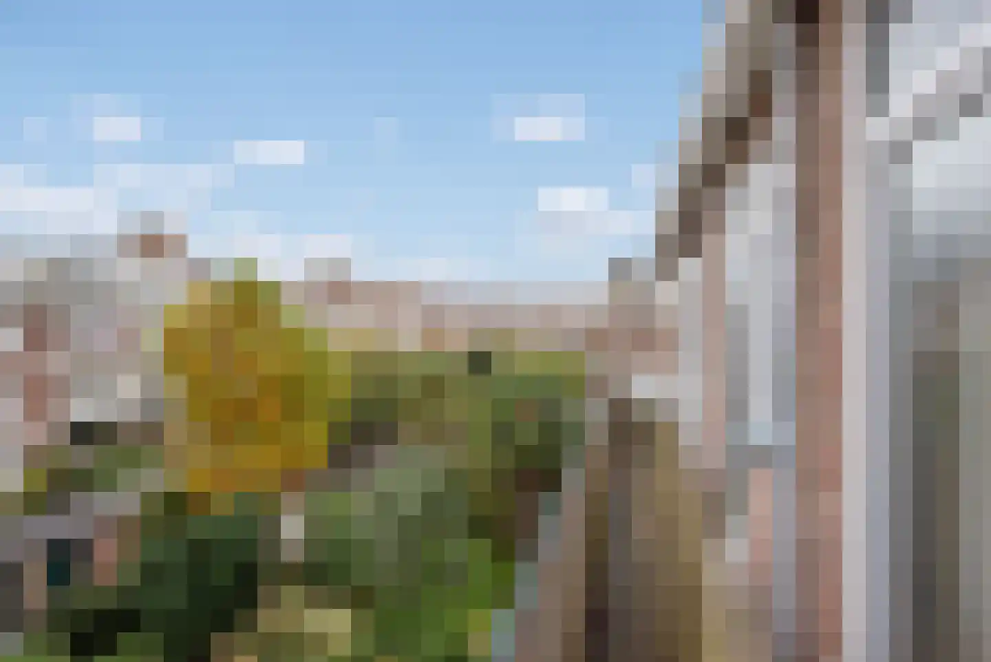 Hoefbladlaan 49 Den Haag thumbnail 20