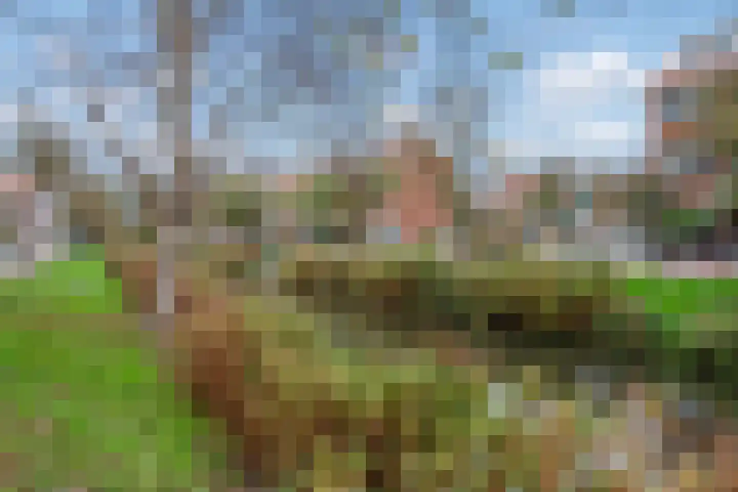 Hoefbladlaan 49 Den Haag thumbnail 37