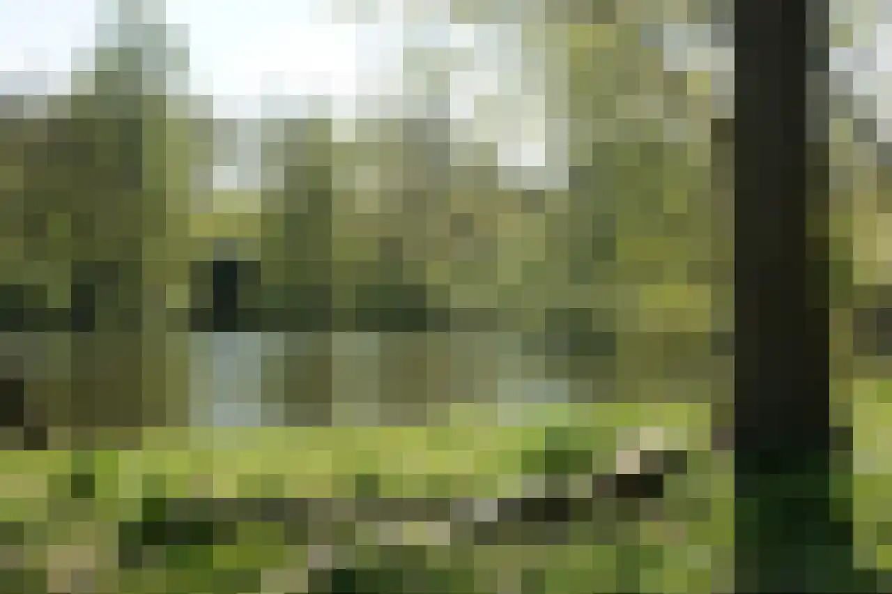 Hoefbladlaan 49 Den Haag thumbnail 42