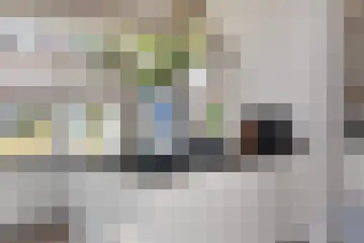 Hoefbladlaan 50 Den Haag thumbnail 15