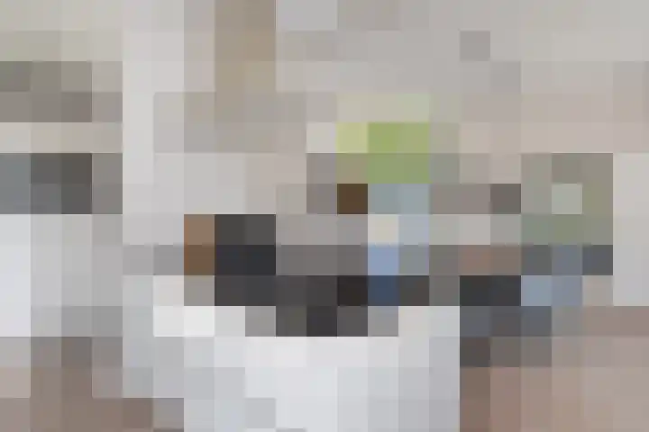 Hoefbladlaan 50 Den Haag thumbnail 16