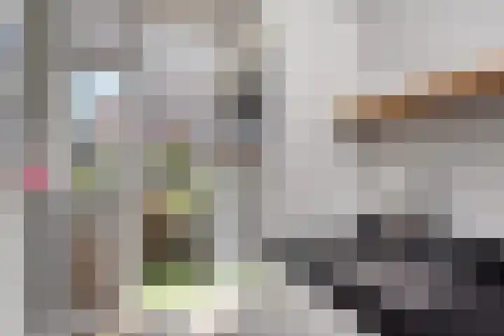 Hoefbladlaan 50 Den Haag thumbnail 19