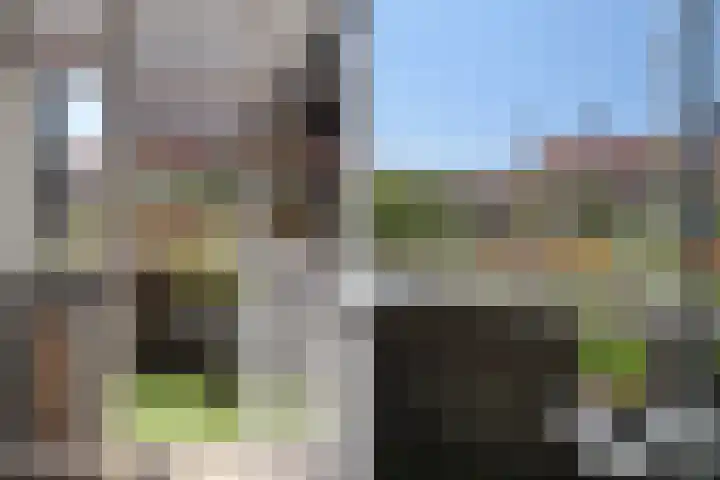Hoefbladlaan 50 Den Haag thumbnail 20