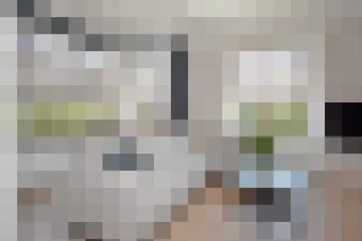 Hoefbladlaan 50 Den Haag thumbnail 26