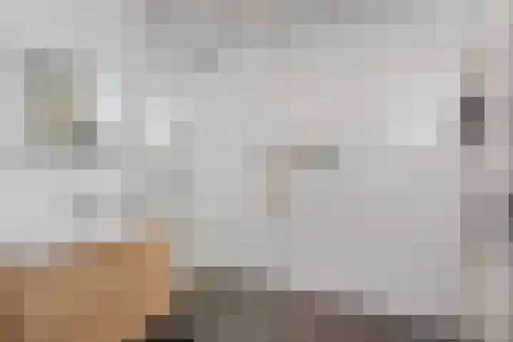 Hoefbladlaan 50 Den Haag thumbnail 33