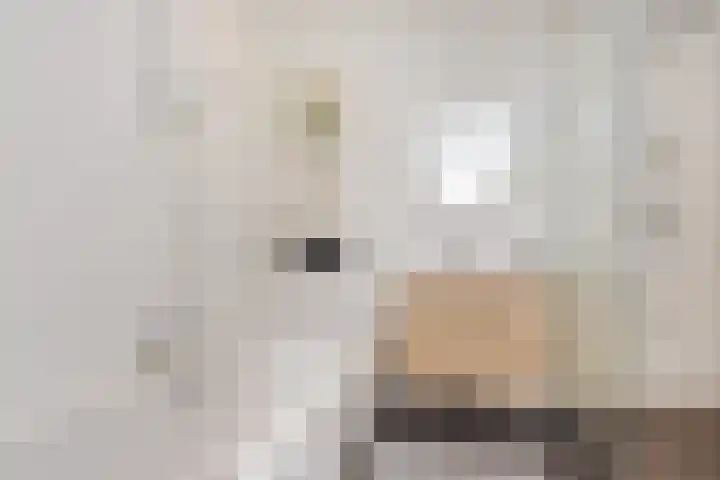 Hoefbladlaan 50 Den Haag thumbnail 35