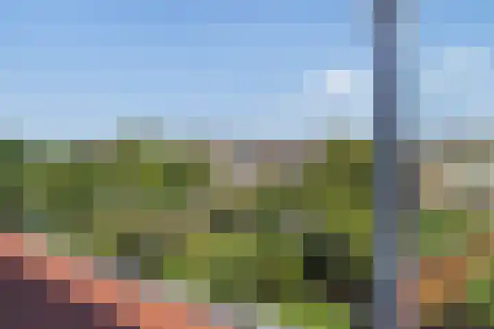 Hoefbladlaan 50 Den Haag thumbnail 53