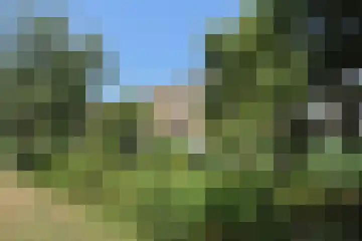 Hoefbladlaan 50 Den Haag thumbnail 56