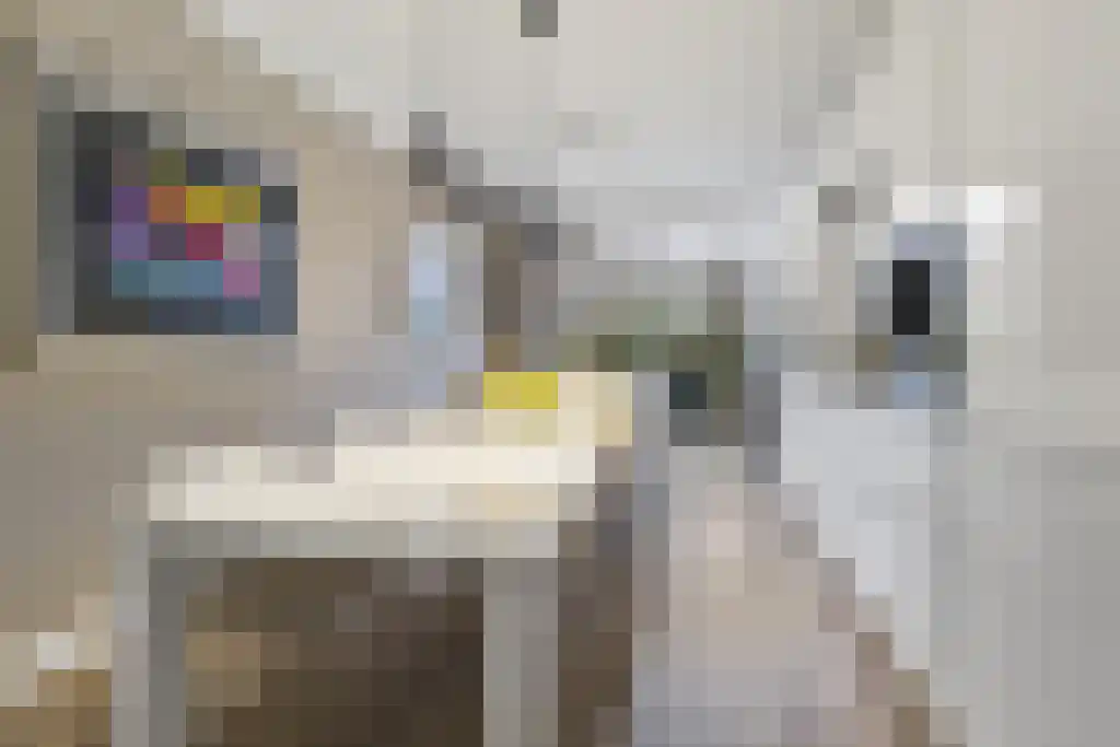 Hoefbladlaan 53 Den Haag thumbnail 10