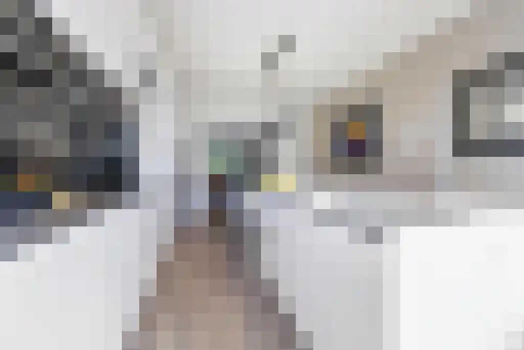 Hoefbladlaan 53 Den Haag thumbnail 12