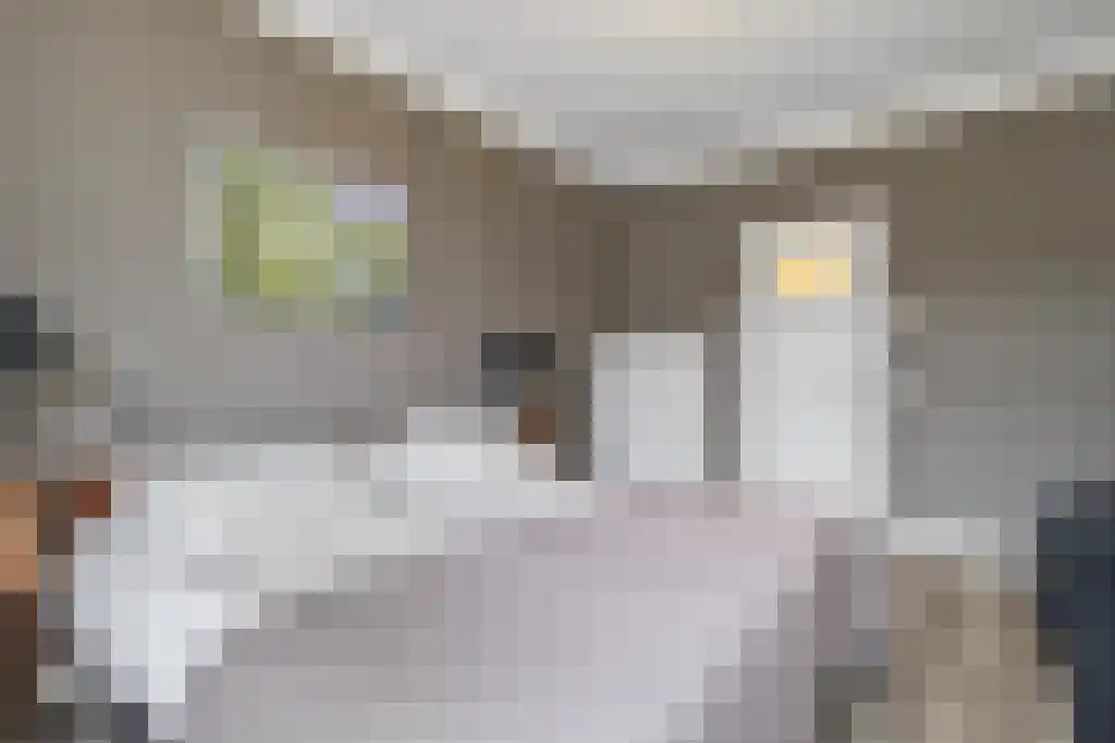 Hoefbladlaan 53 Den Haag thumbnail 19