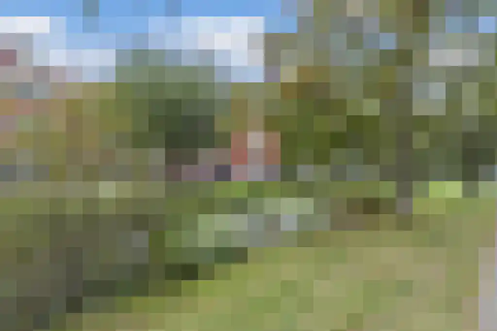 Hoefbladlaan 53 Den Haag thumbnail 22