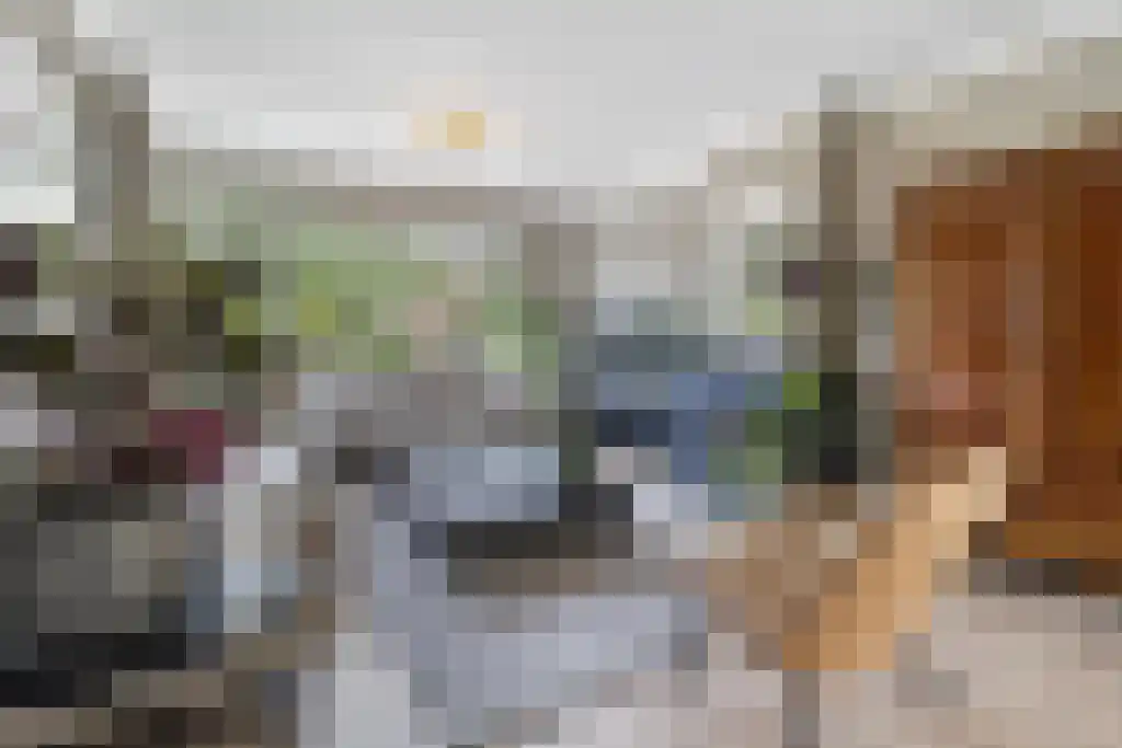 Hoefbladlaan 53 Den Haag thumbnail 6