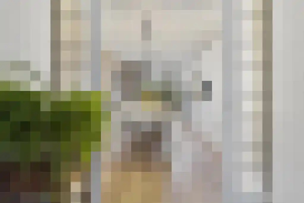 Hoefbladlaan 53 Den Haag thumbnail 8