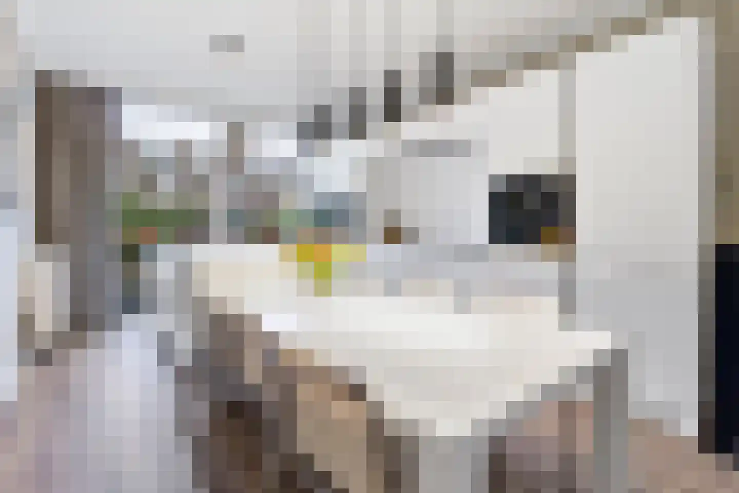 Hoefbladlaan 53 Den Haag thumbnail 9