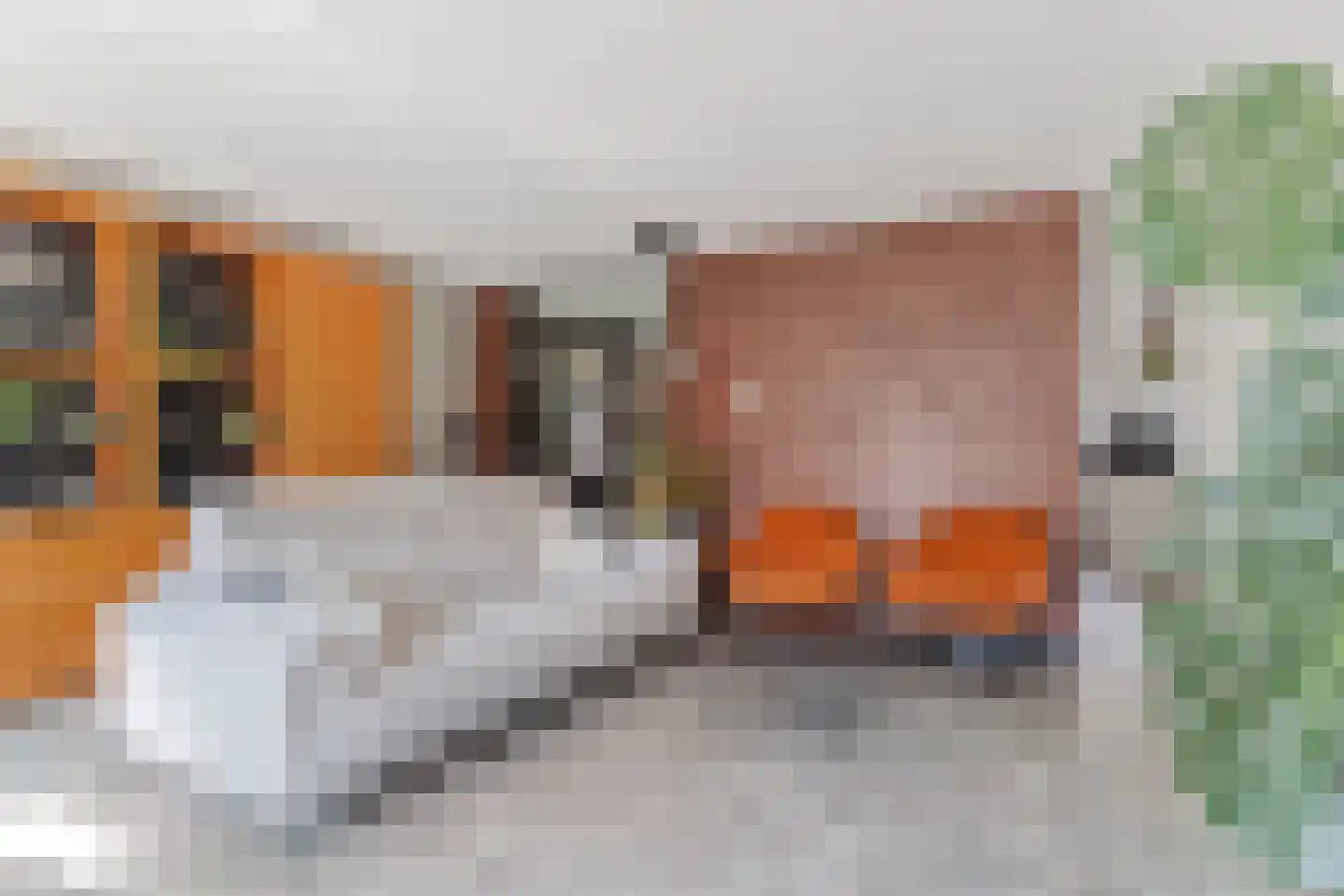 Hoefbladlaan 57 Papendrecht thumbnail 12