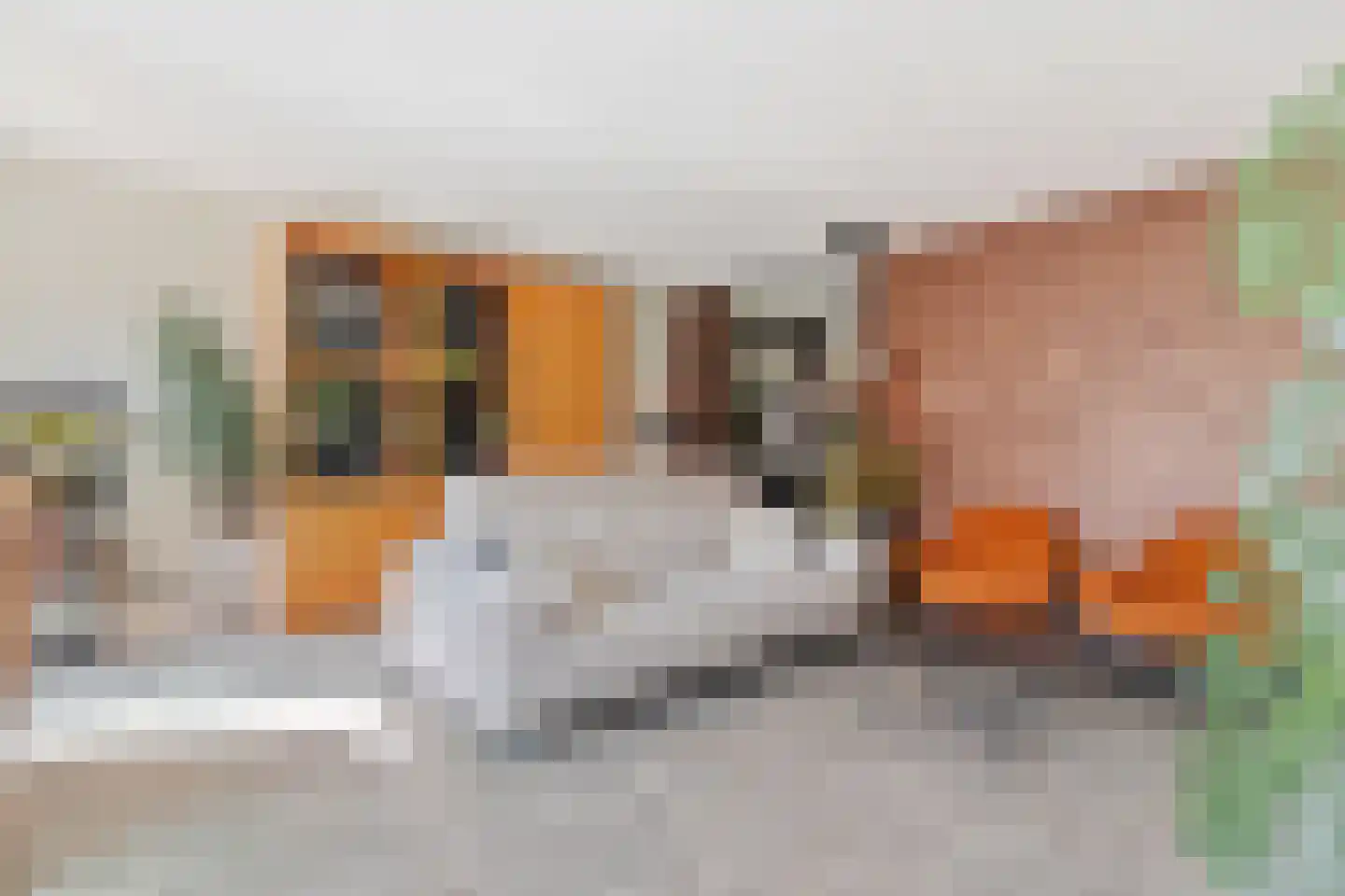 Hoefbladlaan 57 Papendrecht thumbnail 14