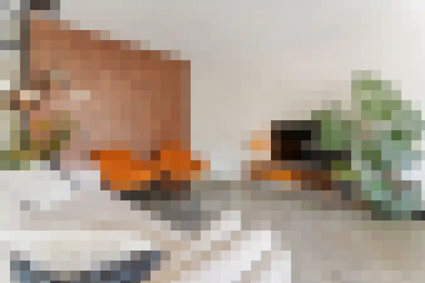 Hoefbladlaan 57 Papendrecht thumbnail 15