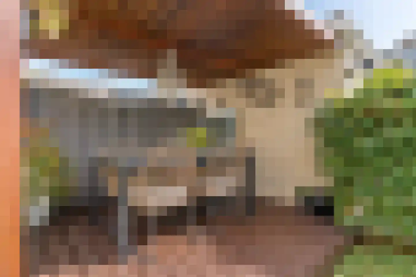 Hoefbladlaan 57 Papendrecht thumbnail 28
