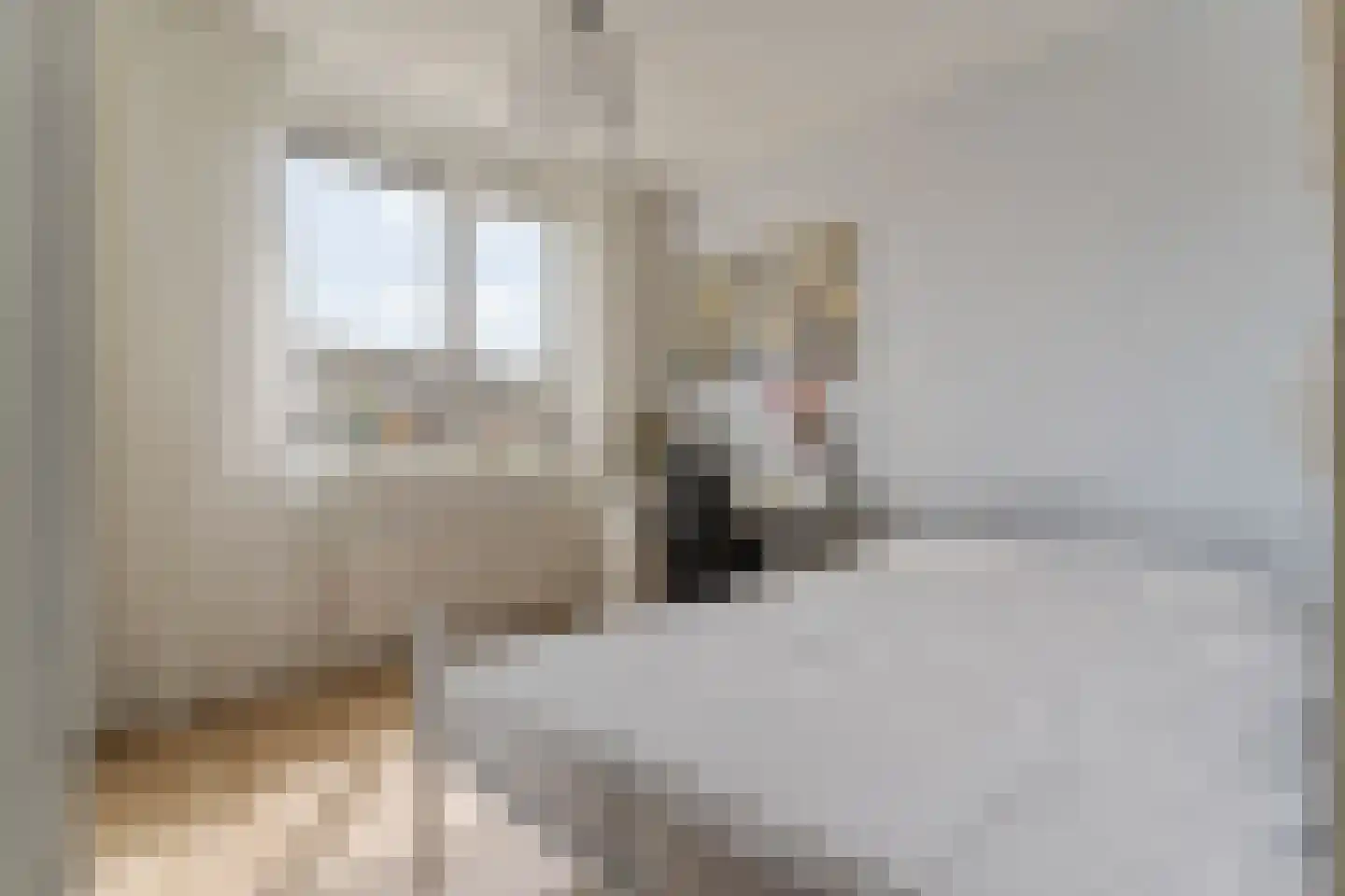 Hoefbladlaan 57 Papendrecht thumbnail 38