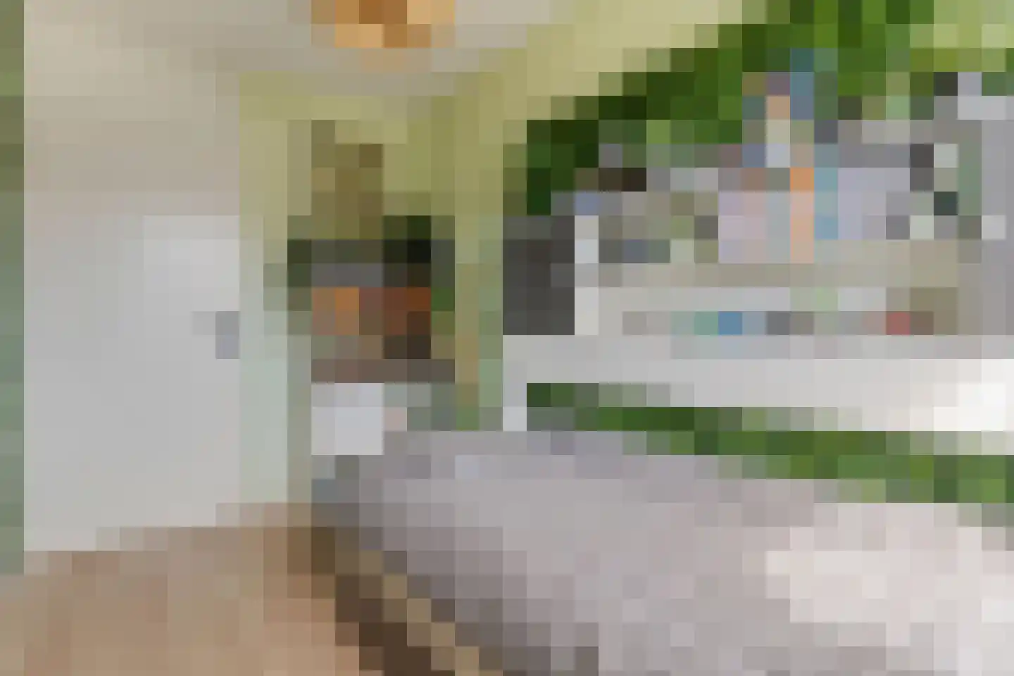 Hoefbladlaan 57 Papendrecht thumbnail 42