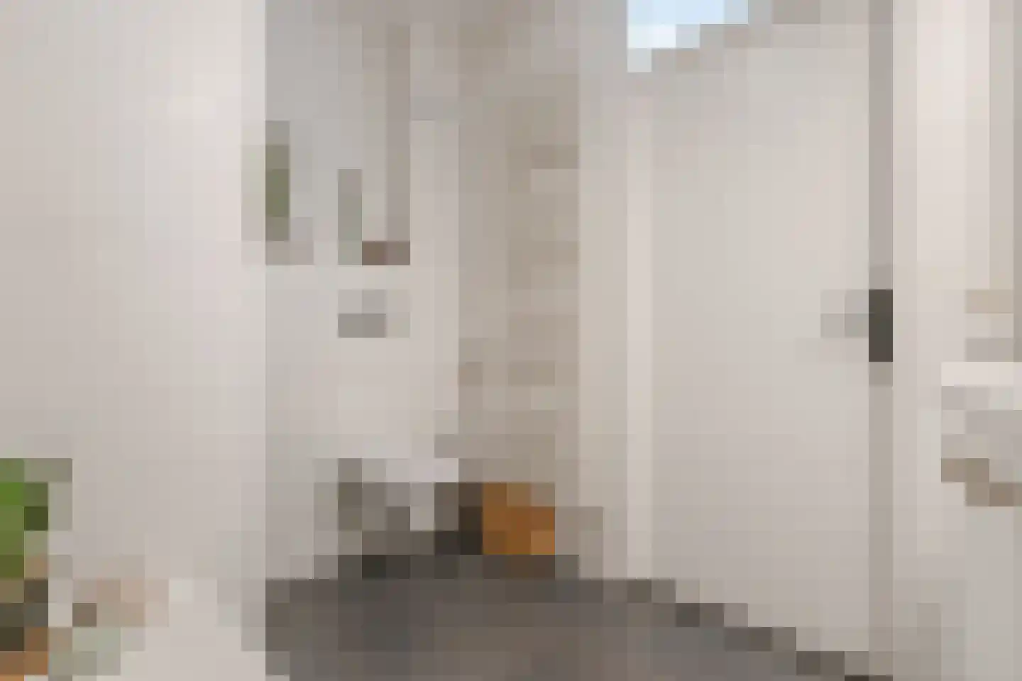 Hoefbladlaan 57 Papendrecht thumbnail 45