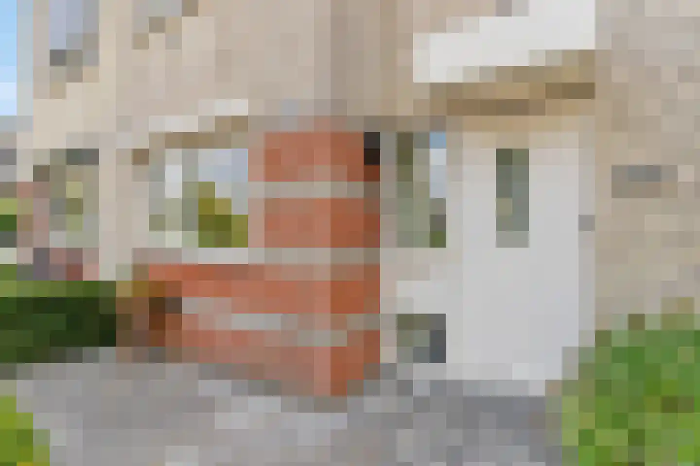Hoefbladlaan 57 Papendrecht thumbnail 5