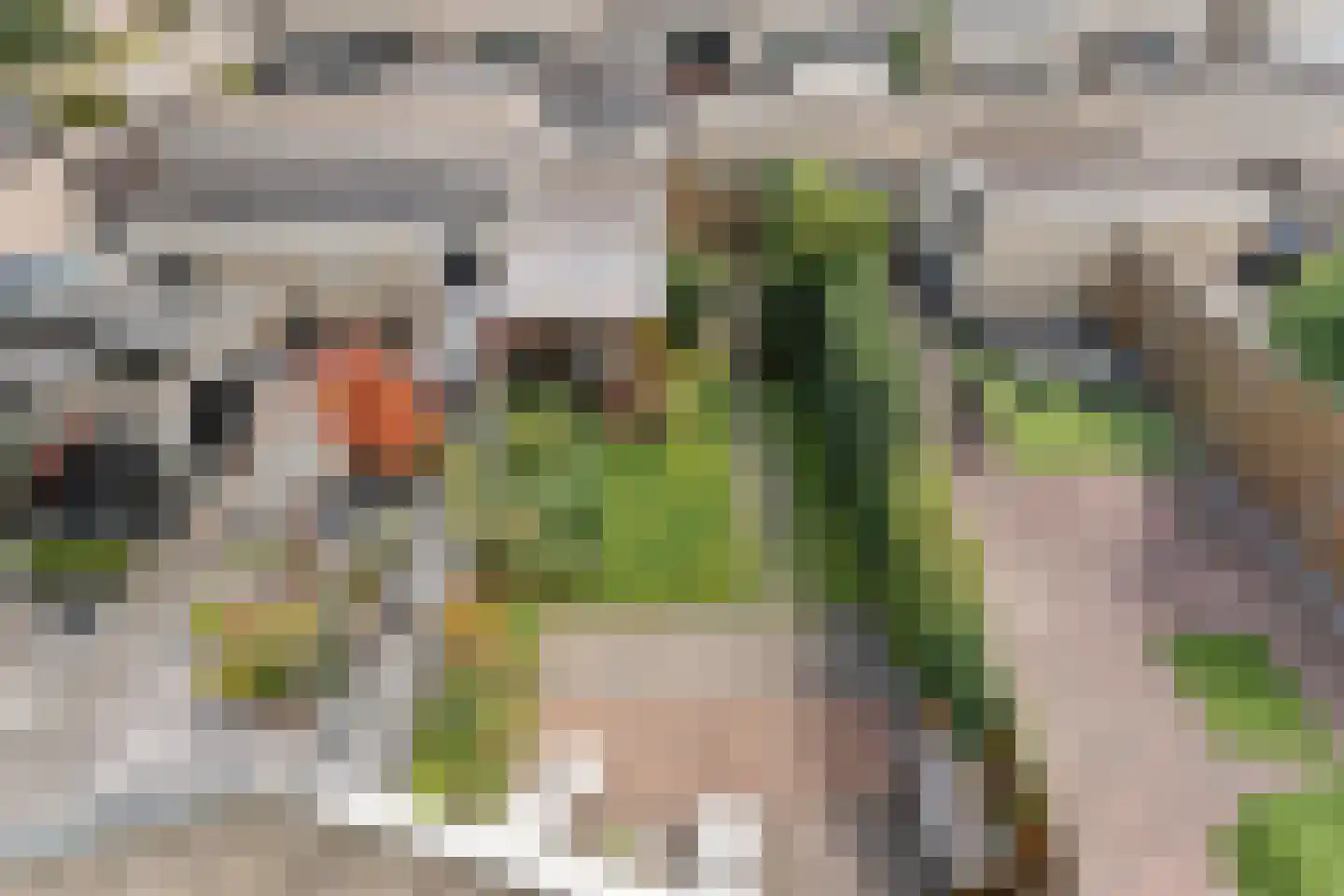 Hoefbladlaan 57 Papendrecht thumbnail 54