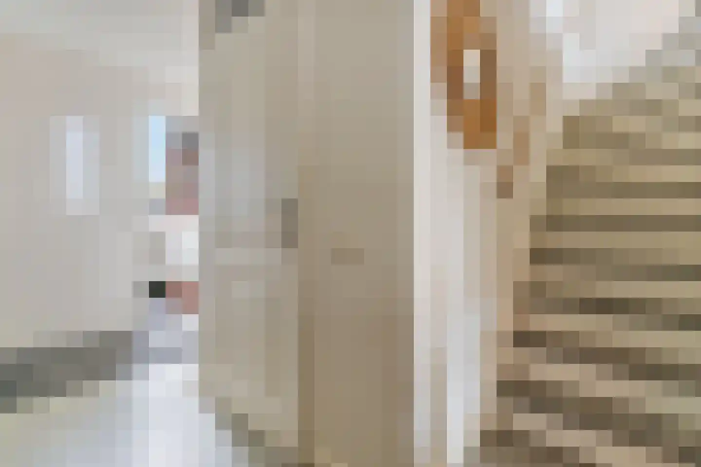 Hoefbladlaan 57 Papendrecht thumbnail 7